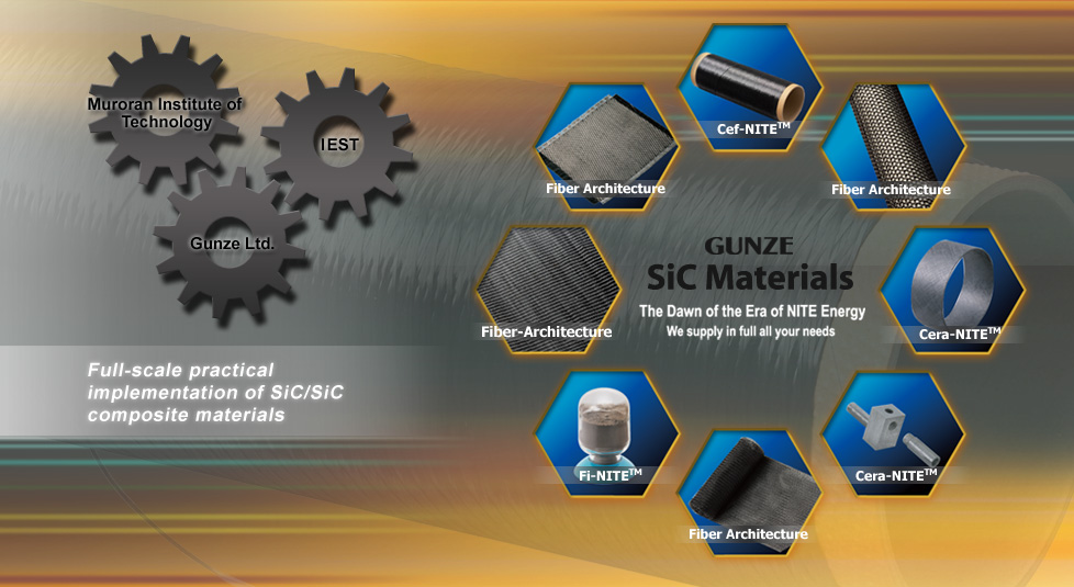 SiC Materials SiC business group