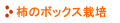 柿のボックス栽培