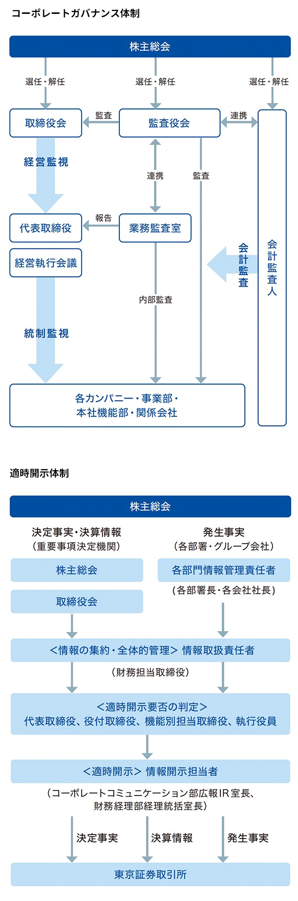 gov_system