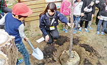 幼稚園での緑育授業