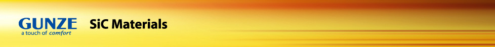 SiC Materials SiC business group