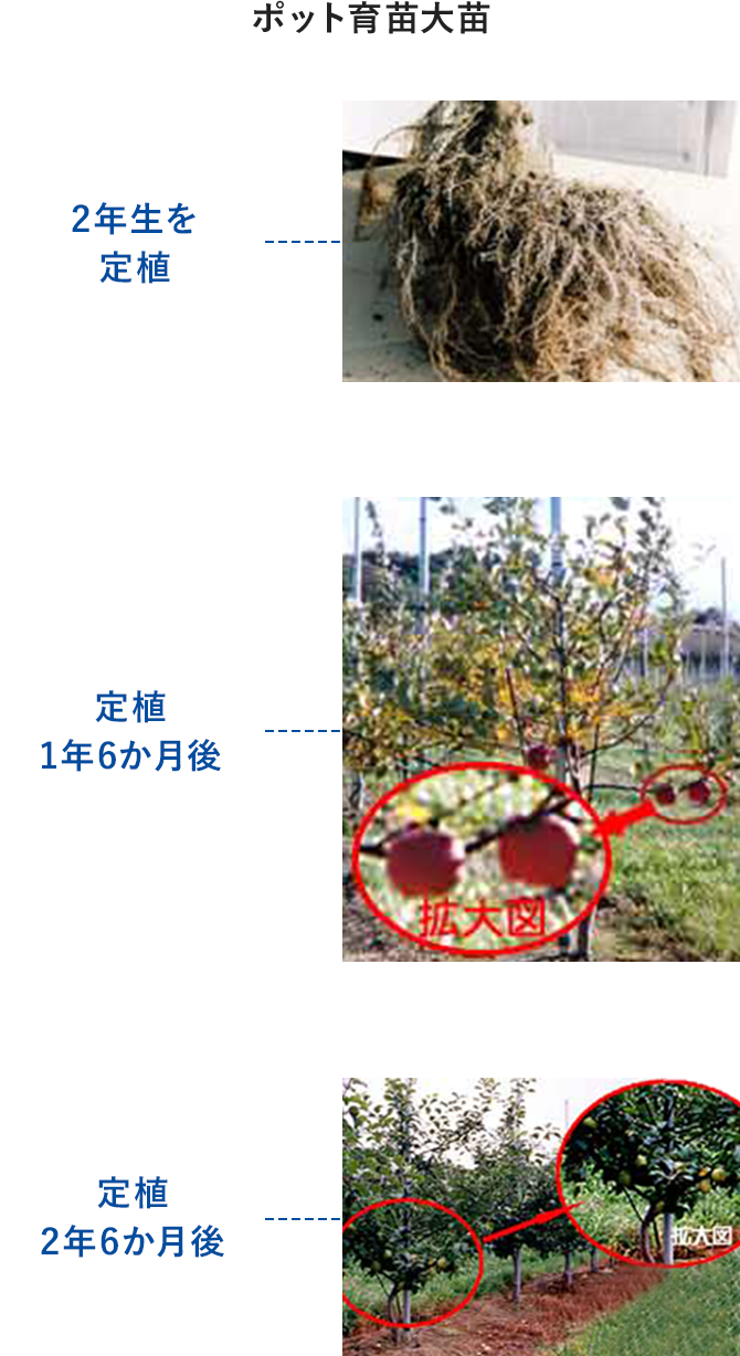 緑化資材｜繊維資材事業部｜グンゼ株式会社