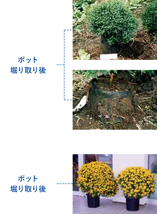 緑化資材｜繊維資材事業部｜グンゼ株式会社